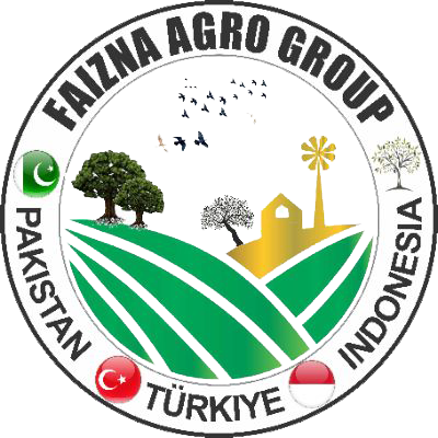 Faizna Logo
